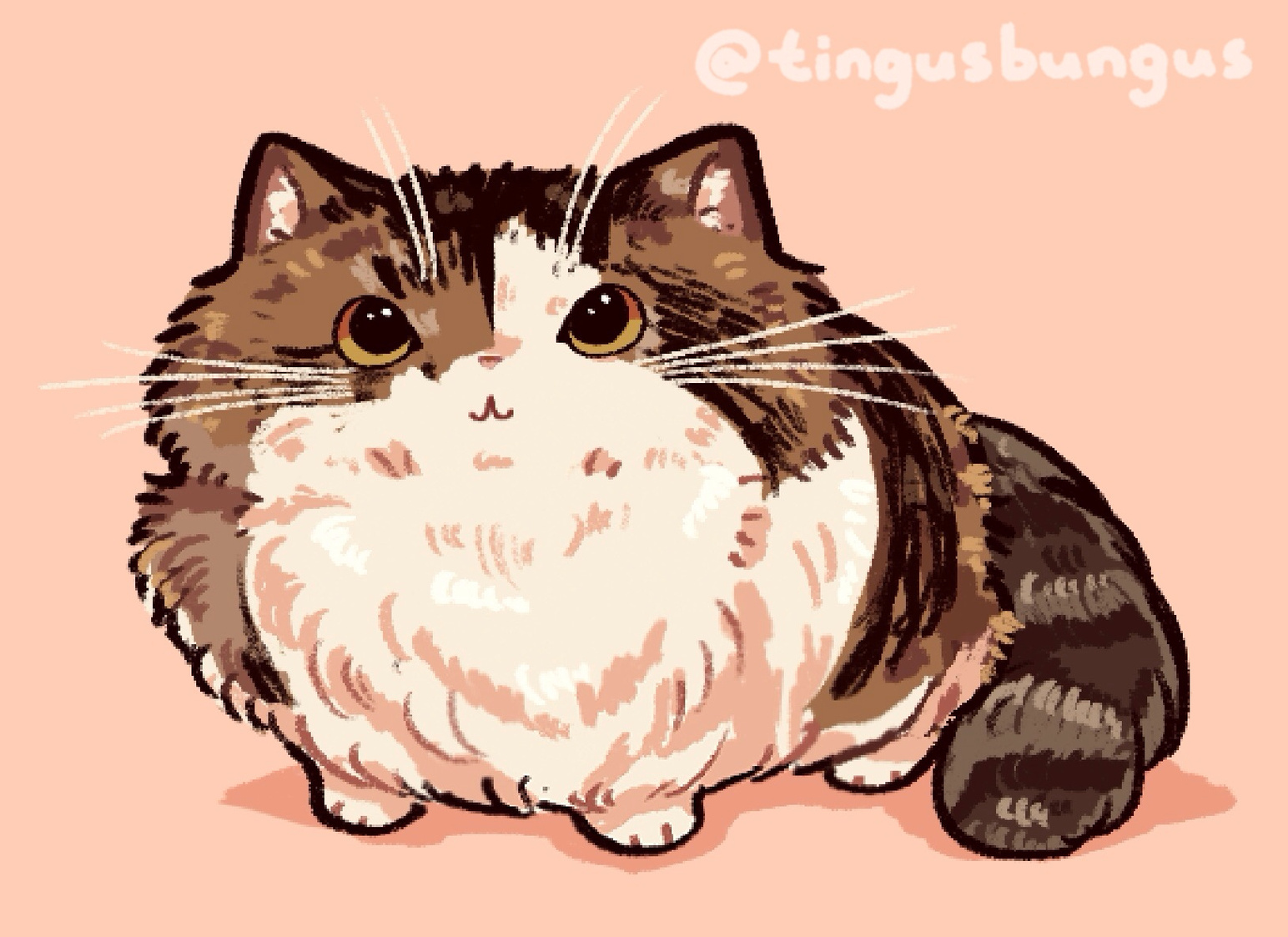 kitty comm for @bundledsage !!!