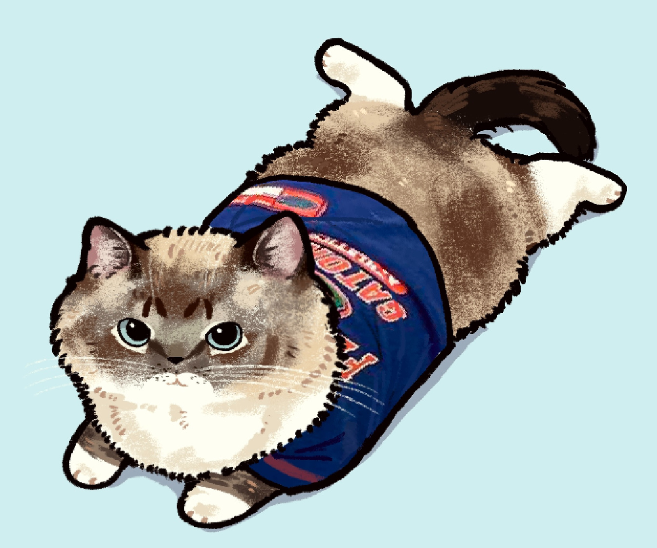 my mom&#39;s coworker&#39;s cat :3 it was a bday gift